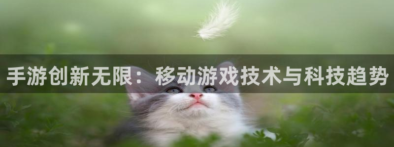 28大神专业版app下载页面