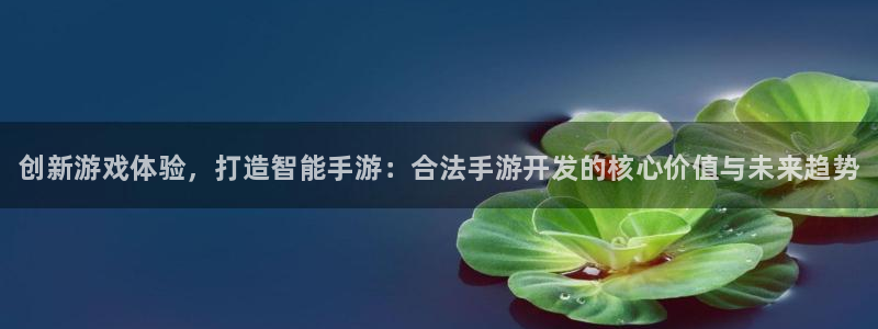 28大神怎么下载不了