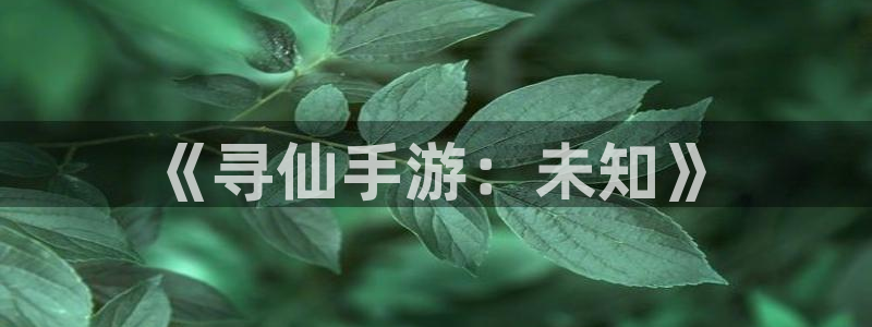 28大神加拿大开奖历史预测：《寻仙手游：未知》