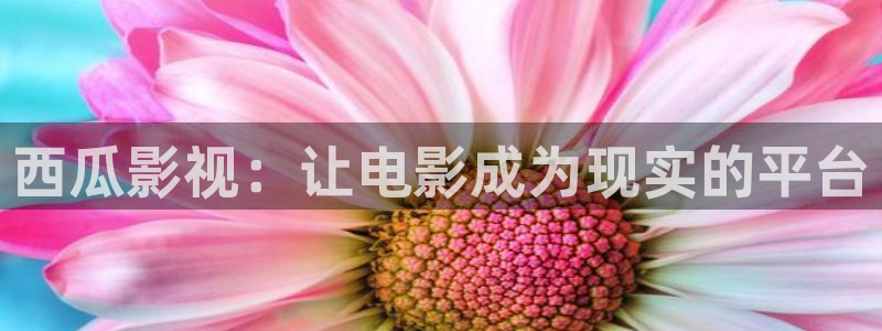 皮特 电影：西瓜影视：让电影成为现实的平台