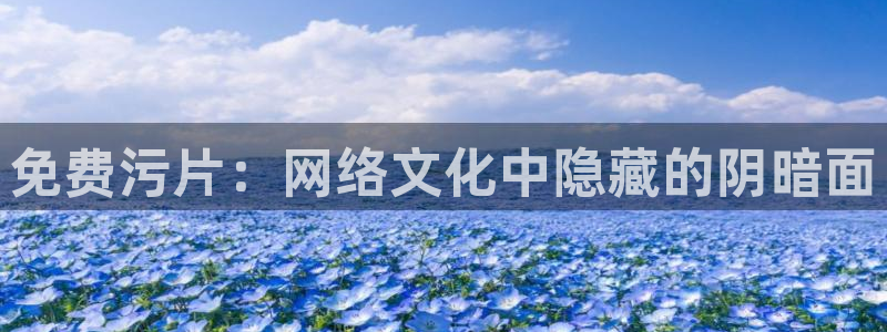 皮特影院：免费污片：网络文化中隐藏的阴暗面