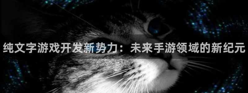 28大神下载苹果：纯文字游戏开发新势力：未来手游领域的新纪元