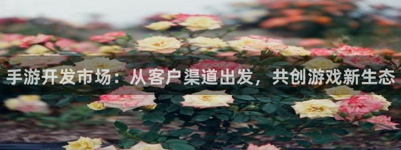 28大神网：手游开发市场：从客户渠道出发，共创游戏新生态