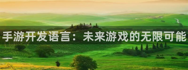 28大神怎么不能用了：手游开发语言：未来游戏的无限可能